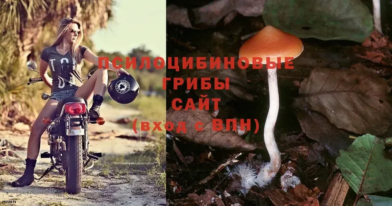 МЕГА как войти  купить   Верхняя Тура  Галлюциногенные грибы Psilocybine cubensis 